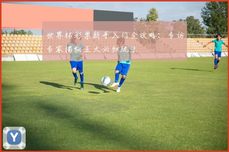世界杯彩票新手入门全攻略：专访专家揭秘五大必知玩法