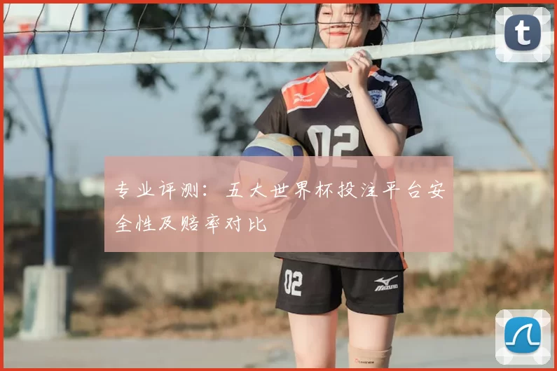 专业评测：五大世界杯投注平台安全性及赔率对比
