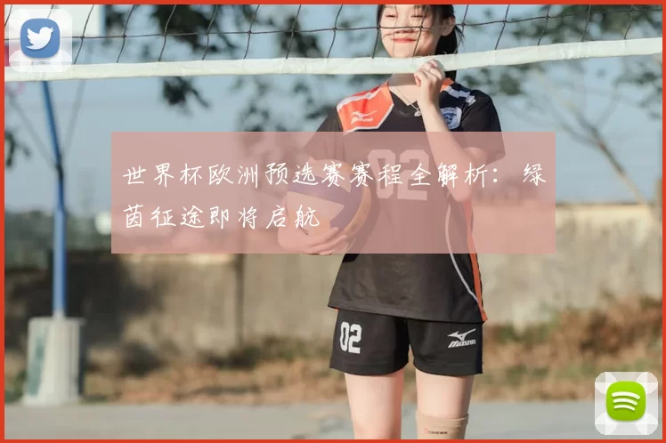 世界杯欧洲预选赛赛程全解析：绿茵征途即将启航