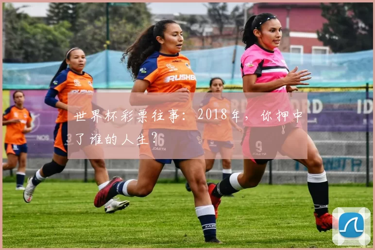 世界杯彩票往事：2018年，你押中了谁的人生？