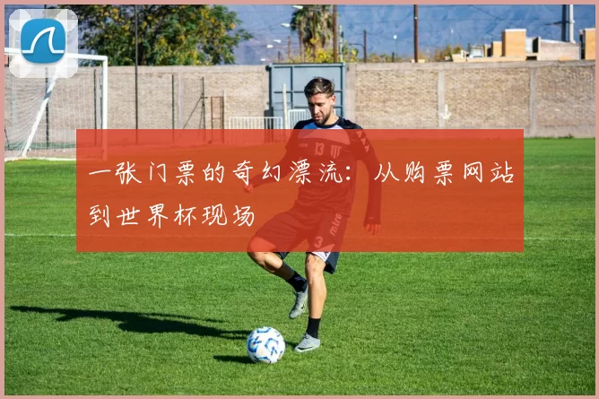 一张门票的奇幻漂流：从购票网站到世界杯现场