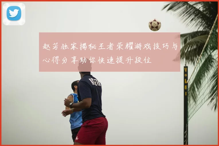 赵芳独家揭秘王者荣耀游戏技巧与心得分享助你快速提升段位