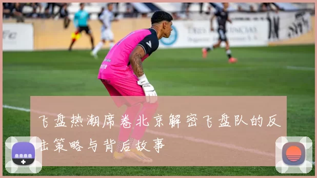 飞盘热潮席卷北京解密飞盘队的反击策略与背后故事