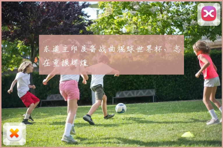 东道主印度备战曲棍球世界杯,志在重振辉煌