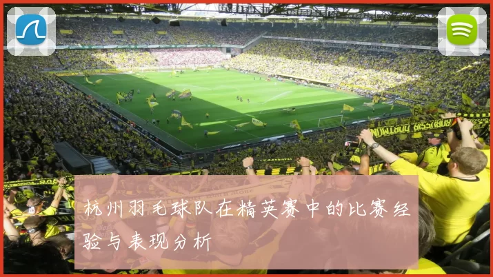 杭州羽毛球队在精英赛中的比赛经验与表现分析