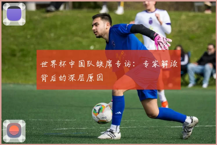世界杯中国队缺席专访：专家解读背后的深层原因