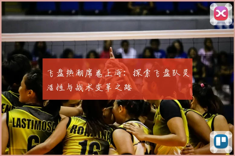 飞盘热潮席卷上海：探索飞盘队灵活性与战术变革之路