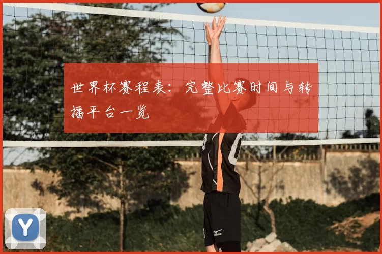 世界杯赛程表：完整比赛时间与转播平台一览