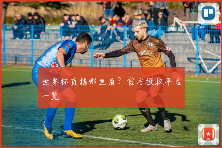 世界杯直播哪里看？官方授权平台一览