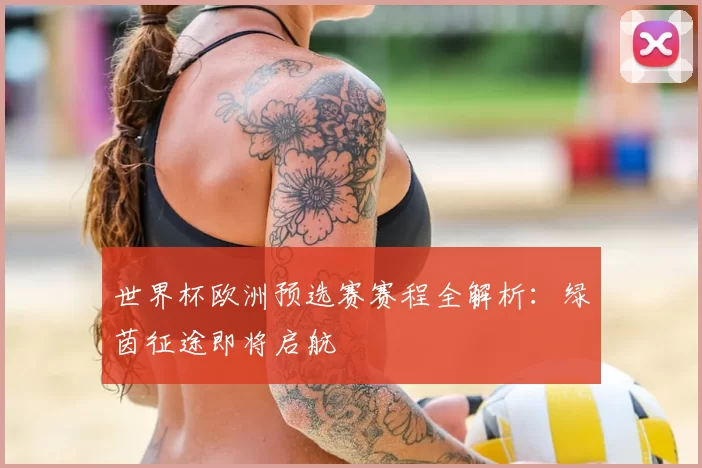 世界杯欧洲预选赛赛程全解析：绿茵征途即将启航