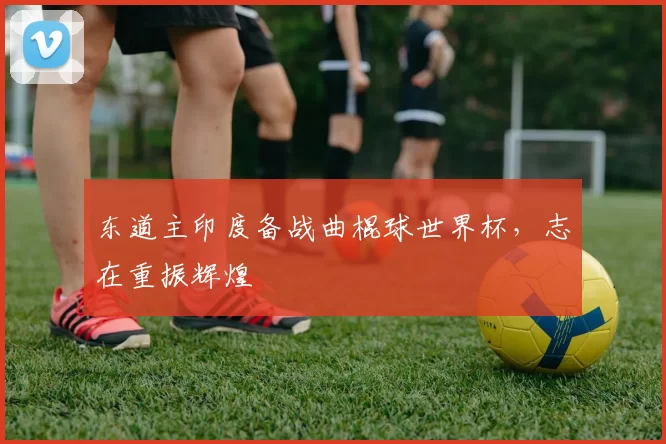 东道主印度备战曲棍球世界杯，志在重振辉煌