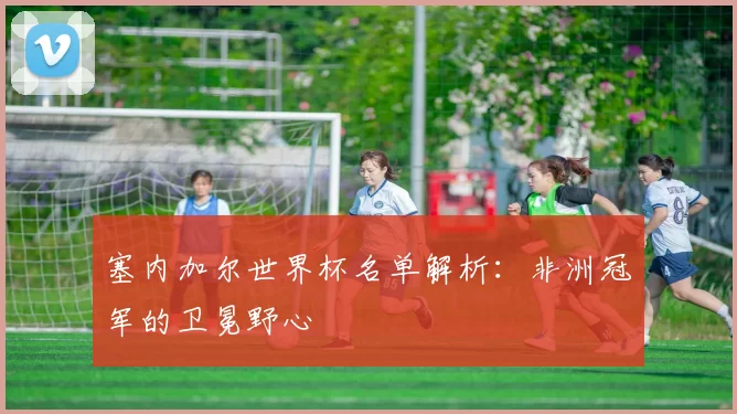 塞内加尔世界杯名单解析：非洲冠军的卫冕野心